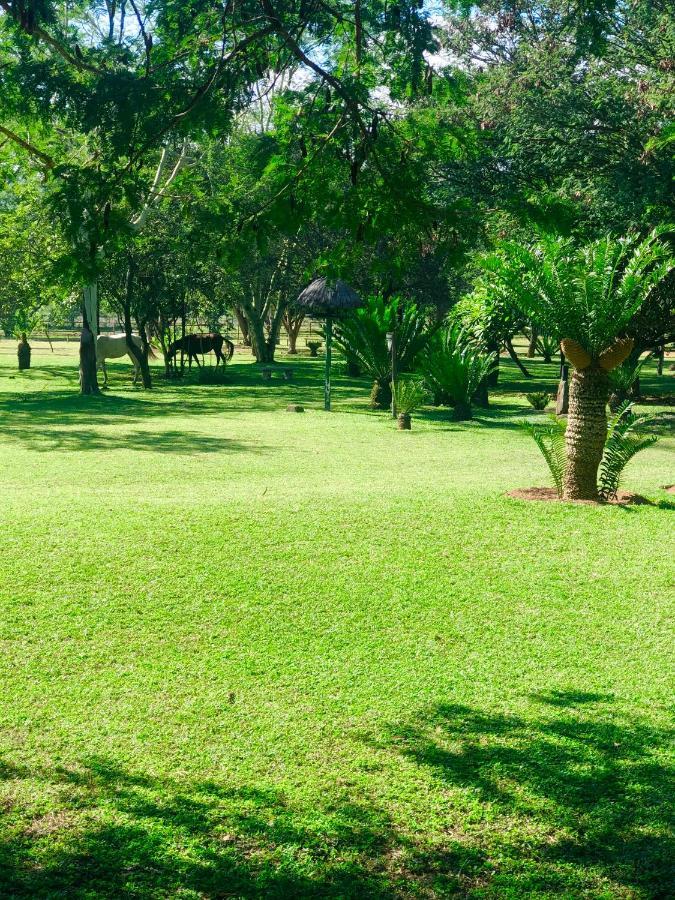 Jock Of The Bushveld Hotel Barberton Buitenkant foto