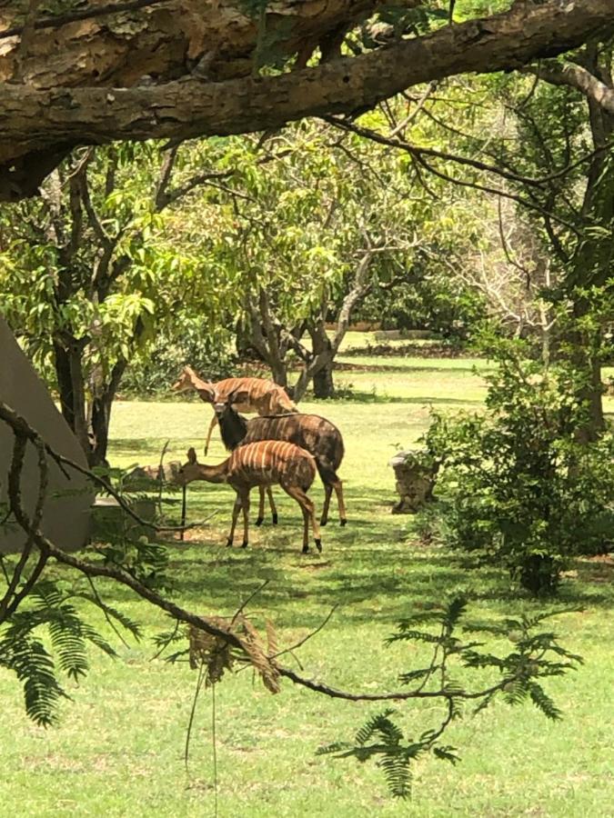 Jock Of The Bushveld Hotel Barberton Buitenkant foto